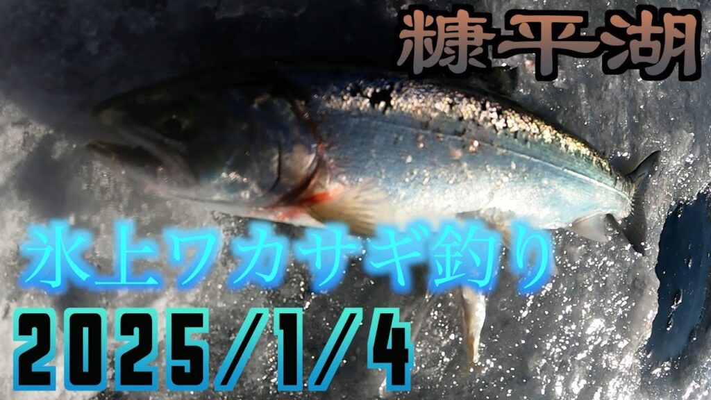 2025/1/4　糠平湖　三の沢でワカサギを釣って大物を狙うと、、、＃糠平湖＃ワカサギ釣り