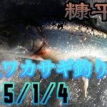 2025/1/4　糠平湖　三の沢でワカサギを釣って大物を狙うと、、、＃糠平湖＃ワカサギ釣り