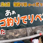【浜名湖釣り】2025年1月6日　「初釣りはボーズだったので ダンゴ釣りでリベンジしてみた」　【ダンゴ釣り】