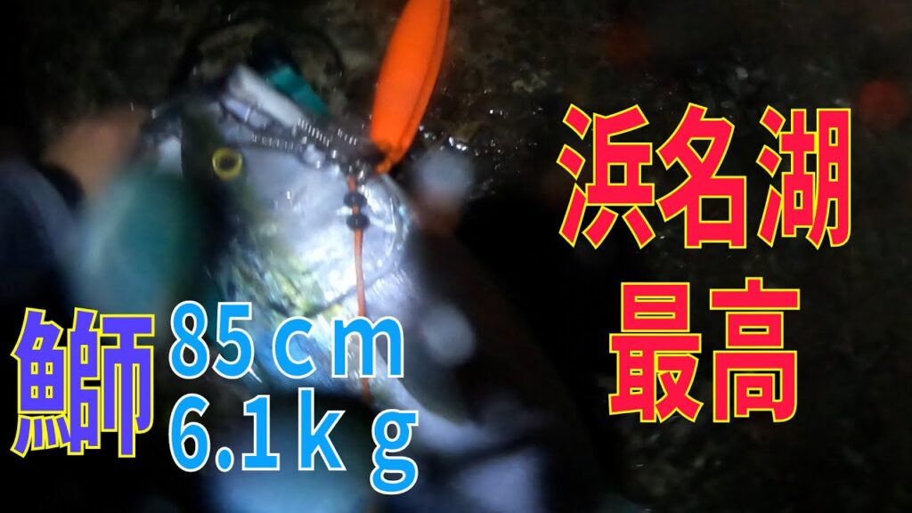 浜名湖　新居海釣り公園　2025年1月6日　土砂降り爆風の夜の大曲り　ショアジギング　やっぱりポッパーだぜ