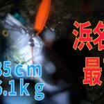 浜名湖　新居海釣り公園　2025年1月6日　土砂降り爆風の夜の大曲り　ショアジギング　やっぱりポッパーだぜ