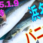 2025年1月9日のお昼下がり13時に新居弁天浜名湖海釣り公園、大曲りポイントが突然釣り堀状態に　シーンからのボコボコ状態  ワラサ　ワラサ　サワラ　　　サゴシ　ワラサ　ブリはなくとも楽しい大曲り