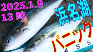 2025年1月9日のお昼下がり13時に新居弁天浜名湖海釣り公園、大曲りポイントが突然釣り堀状態に シーンからのボコボコ状態 ワラサ ワラサ サワラ サゴシ ワラサ ブリはなくとも楽しい大曲り