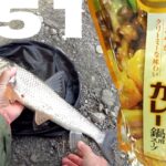 冬の川釣りの友ニゴイを釣って食う【バター251カレー鍋】