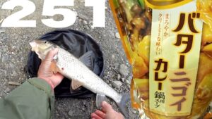 冬の川釣りの友ニゴイを釣って食う【バター251カレー鍋】