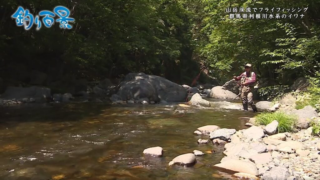 【釣り百景】#344 山岳渓流でフライフィッシング 群馬県利根川水系のイワナ
