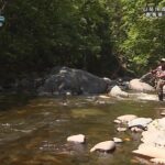 【釣り百景】#344 山岳渓流でフライフィッシング 群馬県利根川水系のイワナ
