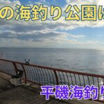 #381【エビ撒き】12月今年最後の海釣り公園は…