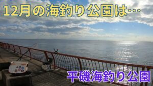 #381【エビ撒き】12月今年最後の海釣り公園は…