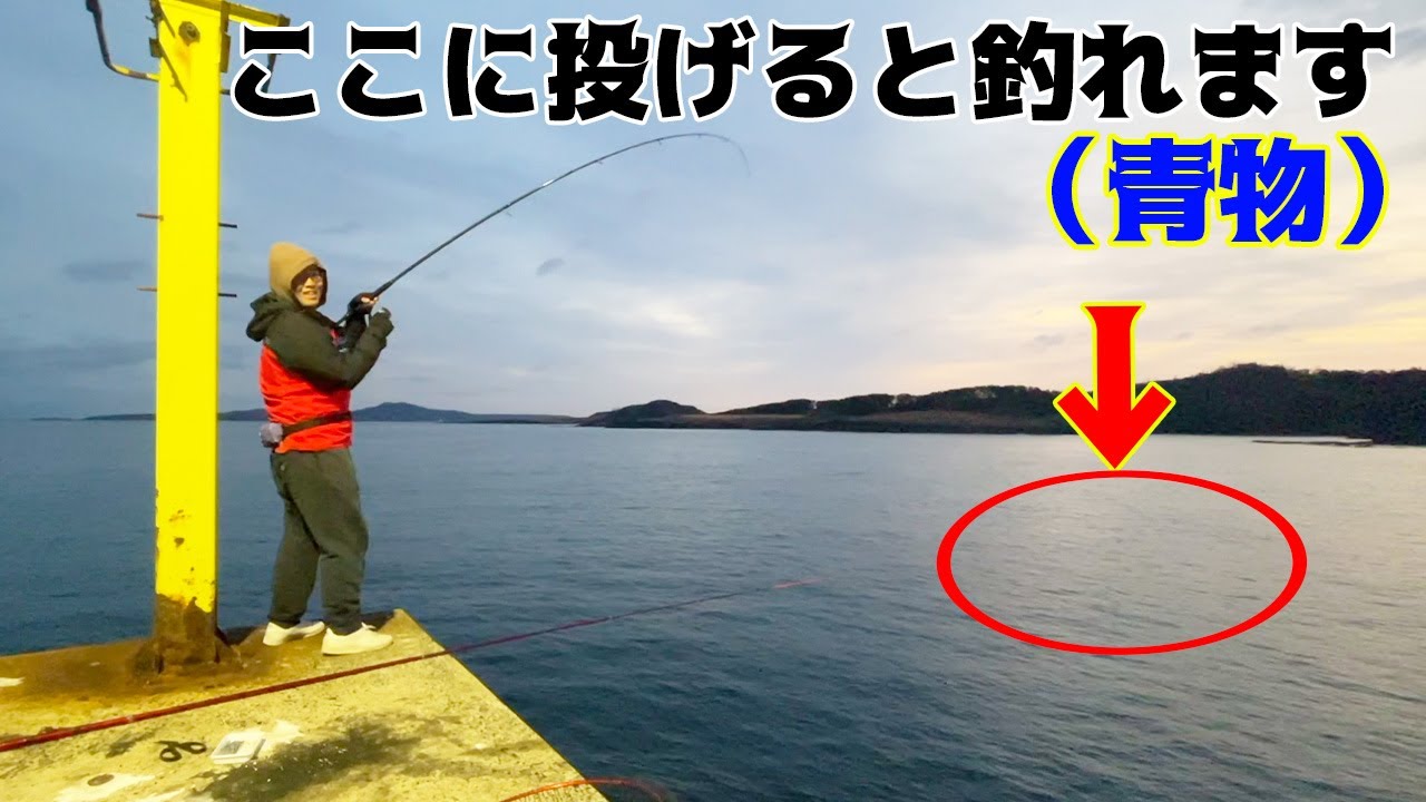 【離島生活#39】朝まずめの海で目の前にいきなり青物が湧き出した!