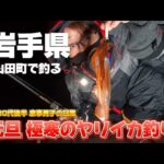 [岩手県 海釣り] 極寒の山田町で 元旦から 釣りをする40代後半‥