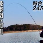 大型しか釣れない河川で40上超えのヘラブナを仕留める【牛久沼/稲荷川】
