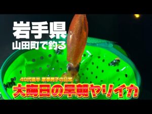 [岩手県 山田町] ヤリイカを求め山田町で釣りをする40代後半
