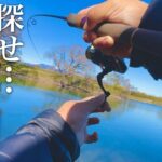 【大型特化エリア】広大な貯水池で一味違った管釣りを楽しむ【エリアトラウト】【管理釣り場】【408Club】