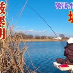 厳寒期に水深40cmの超浅場で高確率でヘラブナが釣れるポイント【城沼】