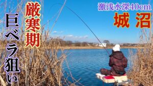 厳寒期に水深40cmの超浅場で高確率でヘラブナが釣れるポイント【城沼】