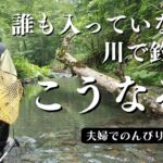 【4K】誰も入っていない川で釣るとこうなる！
