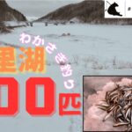 網走湖のリベンジ釣行！富里湖で500匹以上のワカサギを釣る！！！