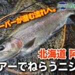 50cmオーバーもねらえる！阿寒川のトラウトルアーフィッシング