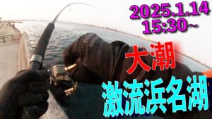 釣果確率5％の攻防　2025年1月14日　運だけの釣果　青物　ぶり　YouTubeライブでの一本をひねりだしました。85㎝　5.7KG　浜名湖新居弁天海釣り公園での鰤釣り、ぶり。泳がせも好調です