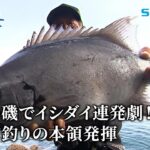 【釣り百景】#547 五島の磯でイシダイ連発劇！南方宙釣りの本領発揮