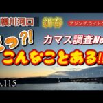 【相模川河口】新春カマス調査6 今シーズンやばいかも⁈