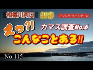 【相模川河口】新春カマス調査6 今シーズンやばいかも⁈