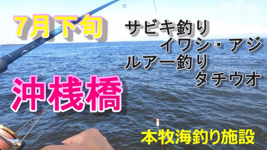 【本牧海釣り施設】7月下旬沖桟橋　サビキ釣りイワシ・アジ　ルアー釣りタチウオ
