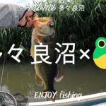 【7月バス釣り】　多々良沼×🐸!!