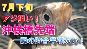 【本牧海釣り施設】沖桟橋先端7月下旬アジ狙い！一瞬の時合半端ない！