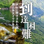 【渓流釣り】遡上系大イワナに出会う。ヤブ漕ぎ7時間、ダムに閉ざされた秘境の谷へ