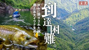 【渓流釣り】遡上系大イワナに出会う。ヤブ漕ぎ7時間、ダムに閉ざされた秘境の谷へ