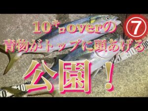 【浜名湖】 海釣り公園 青物 大型の群れ 7㌔台に混ざる10㌔ 回遊魚 トップ ルアー 釣り 泳がせ 高活性 お祭り ハイシーズン 突入