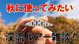 秋の渓流釣りに使ってみたいルアー8選!トラウトフィッシング