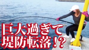 巨大すぎて堤防から海に引きずり込まれる女性に遭遇!黄灯あって本当によかったわ(895話目)