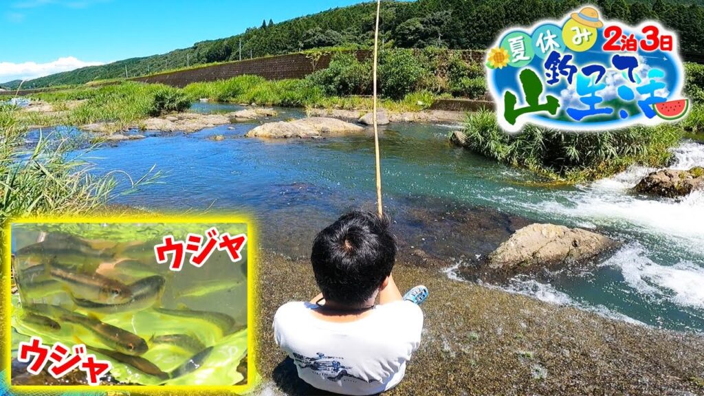 キャンプ場横の田舎の川で魚釣り‼【夏休み釣って山生活２泊３日#9】