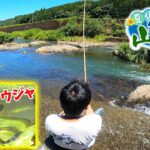 キャンプ場横の田舎の川で魚釣り‼【夏休み釣って山生活２泊３日#9】