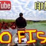 BABATube【印旛沼】初めてのフィールドでどう散るか？