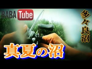 BABATube【多々良沼】激流の流入河川でモンスター現る！？