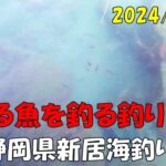 【静岡県新居海釣り公園】でエサ釣り　Bait fishing at [Shizuoka Prefecture Arai Sea Fishing Park]