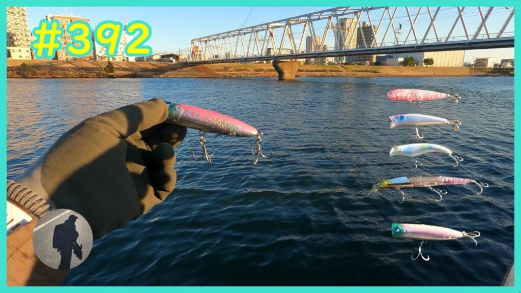 【シーバス】BlueBlueのルアーを投げたかった【江戸川】