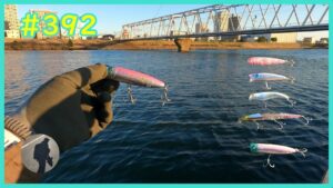 【シーバス】BlueBlueのルアーを投げたかった【江戸川】