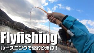 【フライフィッシング】管理釣り場でたくさん釣れたから虹鱒の干物を作りました【Flyfishing】
