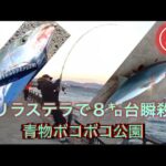【浜名湖】海釣り公園 青物 今期最大の爆釣 一投目でHIT ルアー編 ショアジギング 2日間 ボコボコ ナブラ ボイル お祭り