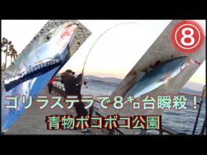 【浜名湖】海釣り公園 青物 今期最大の爆釣 一投目でHIT ルアー編 ショアジギング 2日間 ボコボコ ナブラ ボイル お祭り