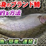 エリアトラウト初心者でも簡単に大型魚を釣る方法を教えます！【あいづフィッシングエリア・管理釣り場・ハートデザイン・HartDesign】