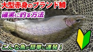 エリアトラウト初心者でも簡単に大型魚を釣る方法を教えます！【あいづフィッシングエリア・管理釣り場・ハートデザイン・HartDesign】