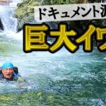 【衝撃】夢の巨大イワナが釣れまくる源流で「二尺」の怪物を追う！【源流釣り】～Japan Mountain stream Fishing～