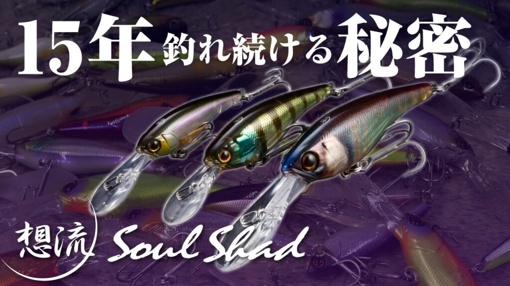 【バス釣り】ソウルシャッドの使い方、熟知してますか？ SOULSHAD徹底解明 / 水野浩聡 加木屋守