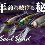 【バス釣り】ソウルシャッドの使い方、熟知してますか？ SOULSHAD徹底解明 / 水野浩聡 加木屋守